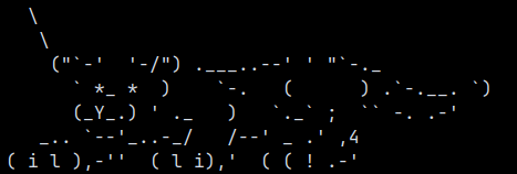 ascii kitty